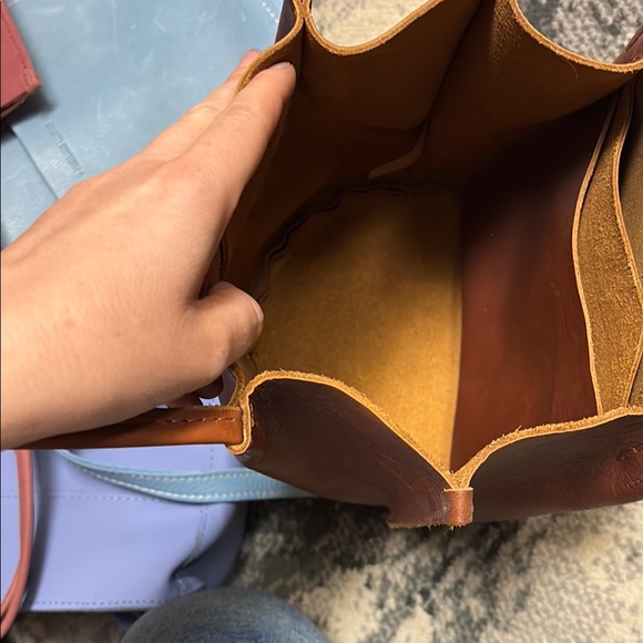 Chestnut Devan - Picture 5 of 5